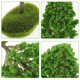 thumbnail image 3 of FENGGUIQU 2Ud Árbol Artificial Verde Para Accesorios De De Arena Y Creativa, 3 of 6