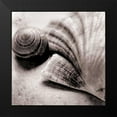 thumbnail image 2 of Schlabach, Sue 15x15 Black Modern Framed Museum Art Print Titled - Ocean Treasures Square, 2 of 5