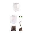 thumbnail image 3 of GROWTH TANK Reptile Cage Breeding Box for Frog Turtle Acrylic Feeding Tool Box Case Reptile 1, 3 of 8