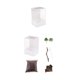 thumbnail image 4 of Caja de Acrílico jinwen Contenedor de Alimentación Tortuga Contenedor de Alimento para Reptiles, 4 of 8