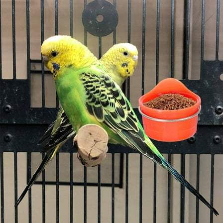 LOLIPPYY 2Pcs Hanging Bird Water Feeder for Cage Red Plastic Bird Feeder Easy to Install