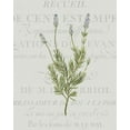 thumbnail image 2 of Kimberly, Allen 26x32 White Modern Wood Framed Museum Art Print Titled - Fresh Herbs 1, 2 of 4