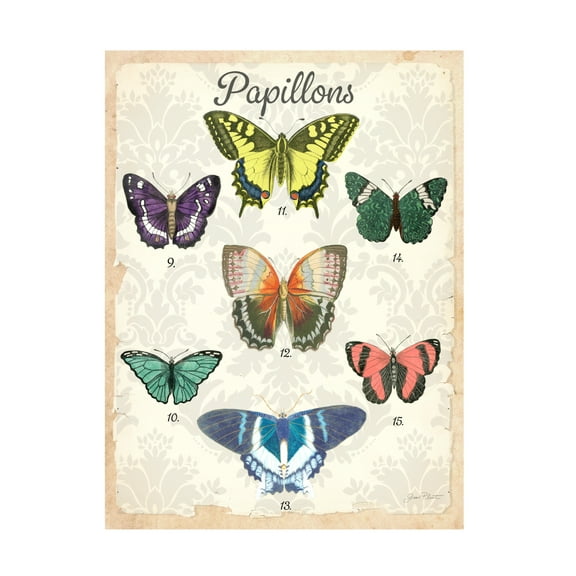 Canvas Wall Art - Jean Plout 'Beautiful Papillon Study B' Wall Art for Living Room, Bedroom, or Office Décor by Trademark Fine Art - 14 x 19 Inches
