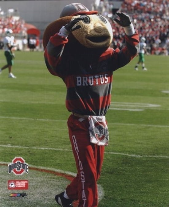 pop brutus buckeye