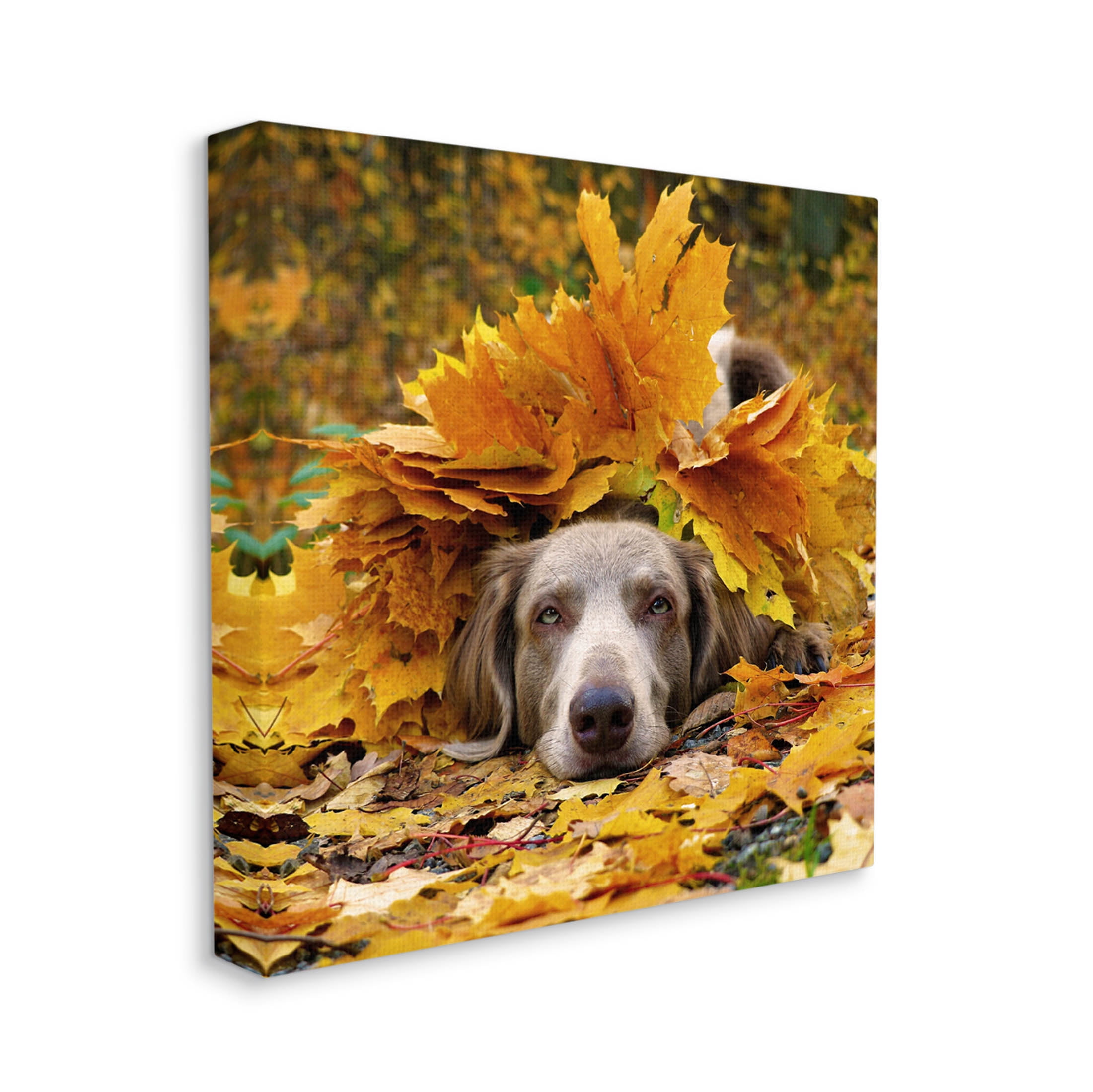 Stupell Industries Happy Puppy Autumn Foliage Photograph Gallery Wrapped Canvas Print Wall Art, Design by Lil' Rue