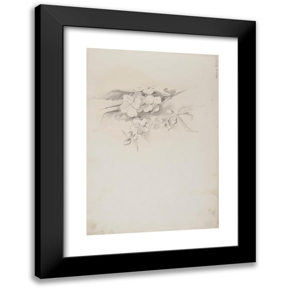 Ferdynand Bryll 11x14 Black Modern Framed Museum Art Print Titled - Flower Sketches (1883-1886)