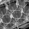 thumbnail image 2 of KAKOWELY cell culture plate 10pcs Cell Culture Tray 12-hole Reaction Plate Tissue Culture Plate Lab Experiment Culture Plate Transparent Tissue Culture Plate (12 Holes), 2 of 4