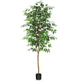 thumbnail image 6 of 6FT Artificial Ficus Tree with Natural Wood Trunk and Lifelike Leaves, Silk Fake Potted Tree with Wood Branches, Faux Tree for Office Home Decor, 6 of 9