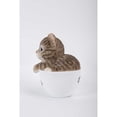 thumbnail image 4 of Hi-Line Gift Ltd Pet Pals-Teacup Kitten Grey Tabby, 4 of 5