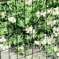 thumbnail image 5 of Fencer Wire Vinyl Coated 16 Gauge Welded Fence Wire Roll, Mesh Size 2-Inch x 3-Inch, Black Metal Garden Fencing Wire Grid Hardware Cloth, Multiple Use for Home Improvement, 5 of 9