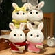 thumbnail image 2 of Conejo Kawaii de peluche de juguete, animales de peluche, muñeca bonita, almohada para bebé, regalos de cumpleaños y Navidad para niñas zhangyuxiang LED, 2 of 2