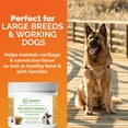 thumbnail image 6 of Nature’s Pure Edge Hip & Joint Supplement with Glucosamine for Dogs & Cats, 170 Grams, 6 of 17