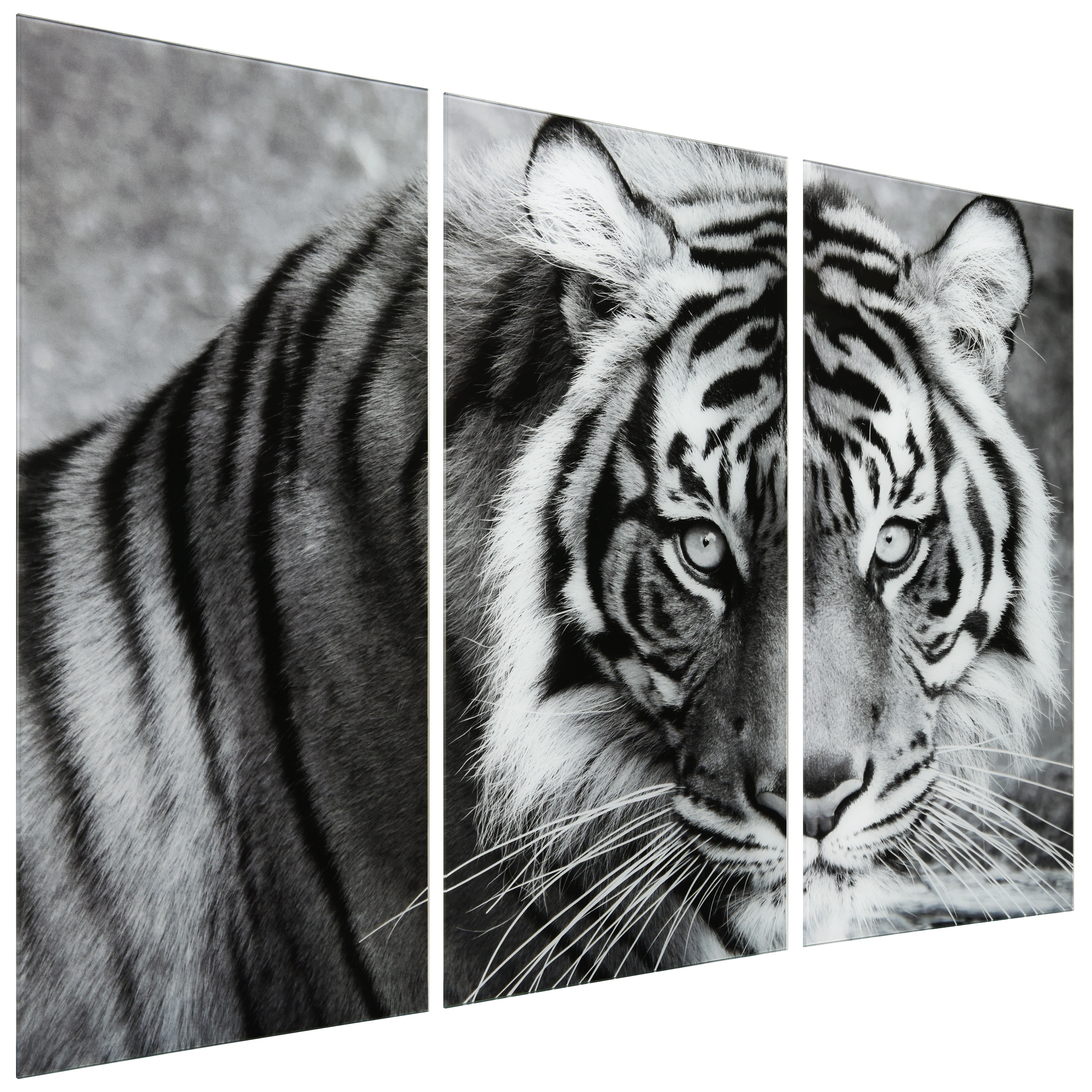 Tiger ABC 36 in x 72 in Mixed Media Art, by Empire Art 3 Count