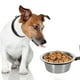 thumbnail image 4 of 1 juego de comedero/bebedero elevado para perros, para pared., 4 of 7