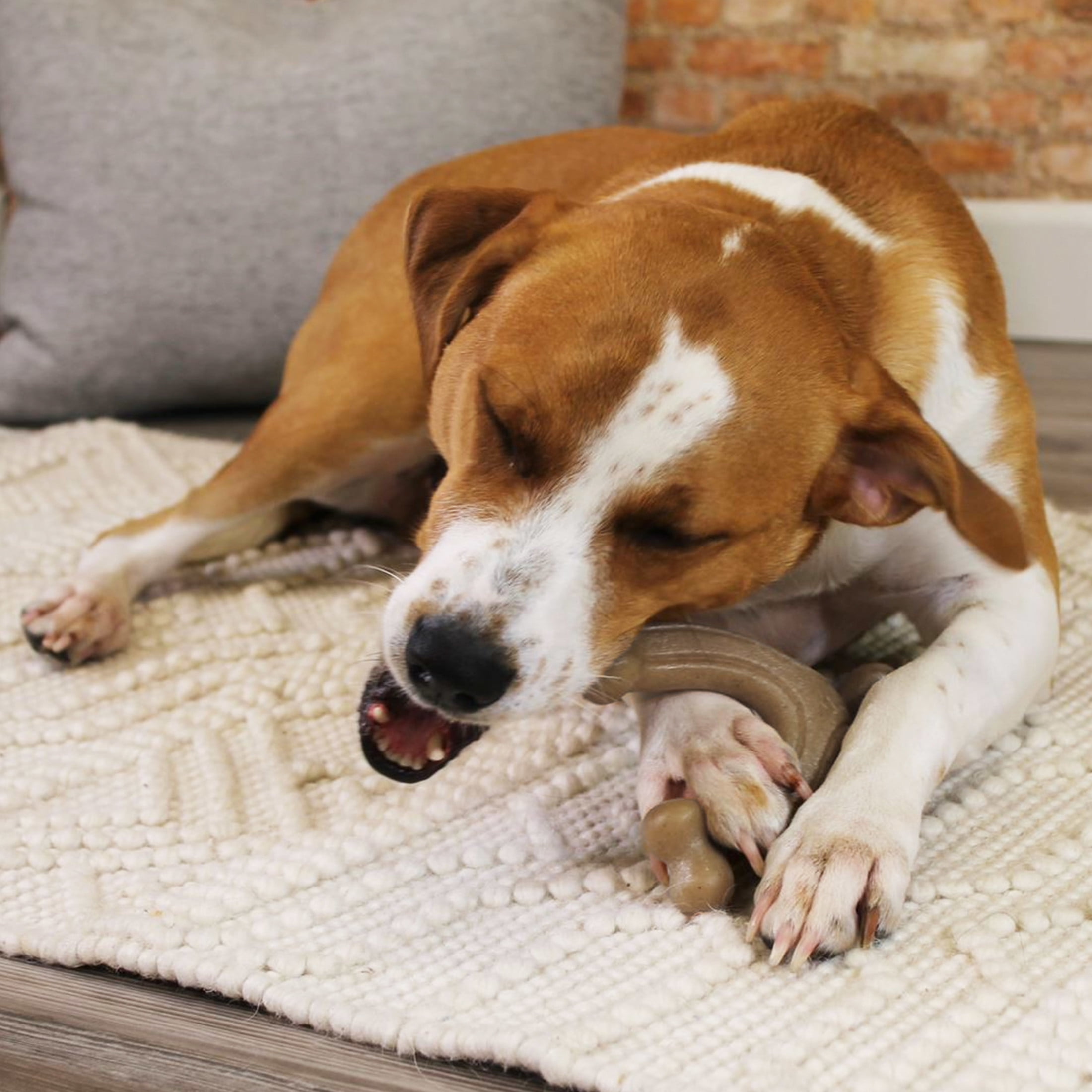 (4 pack) Nylabone Strong Chew Gourmet Style Wishbone Dog Toy, Dog Chew Toy, Peanut Butter Flavor, Large, 1 Count