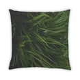 thumbnail image 2 of Ahgly Company Plants Grass Outdoor Throw Pillow, 18 inch by 18 inch, 2 of 6