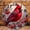 Cardinal Bird Clock, variant on 12 Inch Wall Clock, Fishing Wall Clock Wooden Round Wall Clocks with Silent Non-Ticking Quartz Movement, Battery Operated, Art Decor Hanging Clock for Kitchen, Bathroom, Bedroom, Living Room