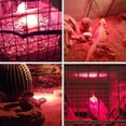 thumbnail image 2 of Lámpara de calor infrarrojo OMAYKEY 75W, luz roja para reptiles, 2 of 6