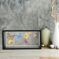 thumbnail image 4 of OFFIGAM Black Acrylic Shadowbox Frame for Pressed Flowers and Butterfly Specimen Display, 4 of 8