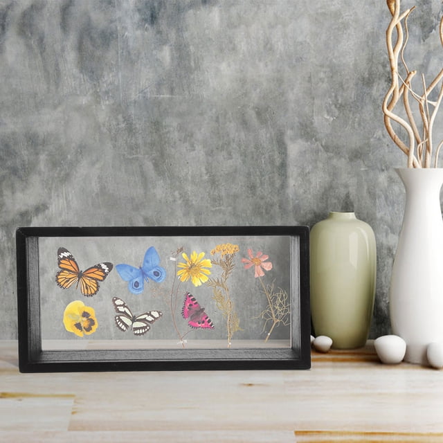 SHINYPASING Versatile Black Acrylic Specimen Box Frame for Pressed Flowers and Butterfly Display