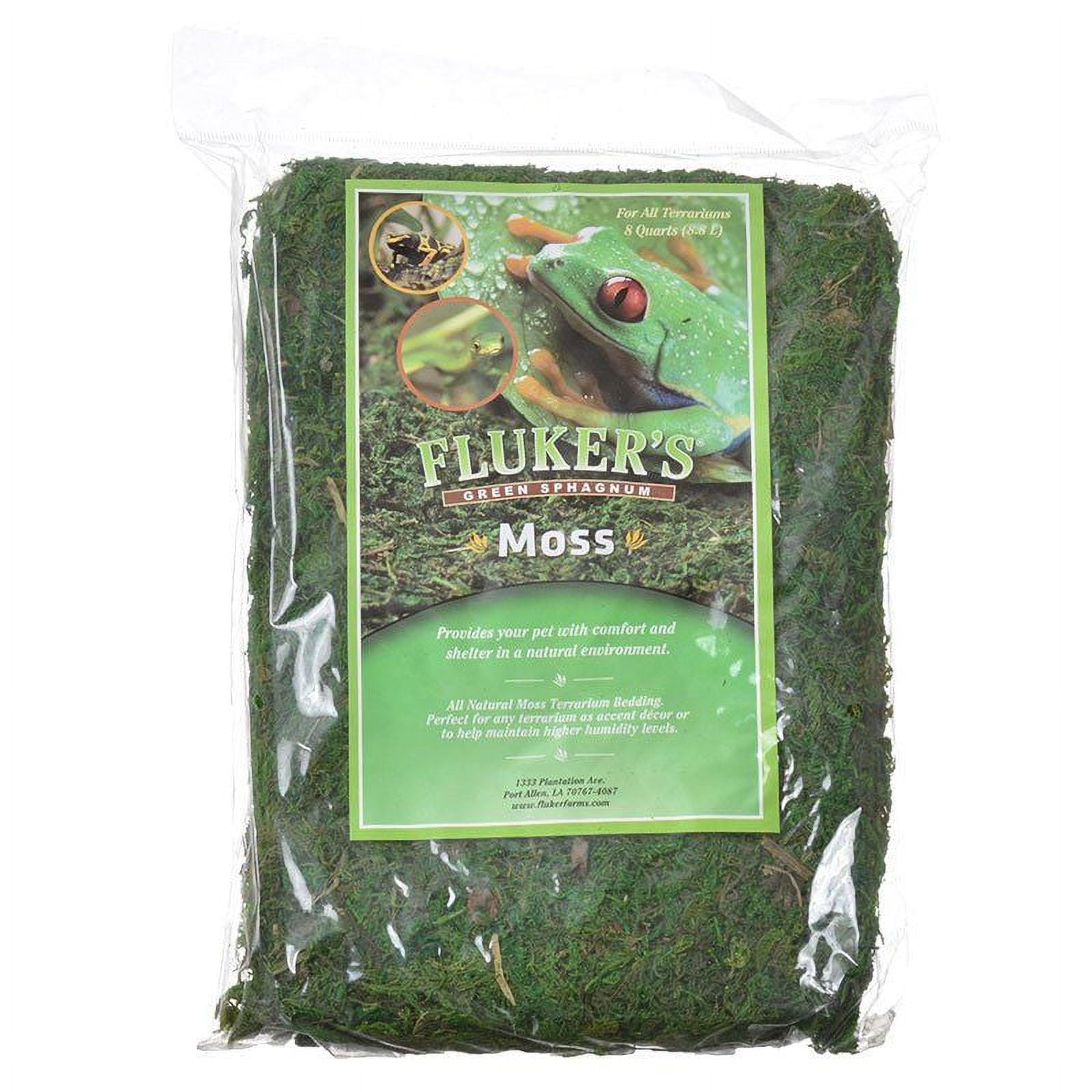 Galapagos Terrarium Green Sphagnum Moss - 4 qt