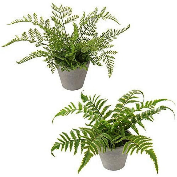 N/D Artificial Plants, Mini Artificial Potted Plants Faux Eucalyptus Plants Rosemary Greenery in Pots Small Houseplants for Indoor Greenery Home Office Desk Shower Room Decoration (Green #01)