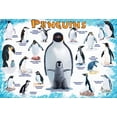 thumbnail image 2 of Rompecabezas EuroGraphics de Pingüinos 100 Piezas 33x48 cm, 2 of 3
