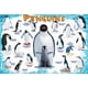 thumbnail image 2 of Rompecabezas EuroGraphics de Pingüinos 100 Piezas 33x48 cm, 2 of 3
