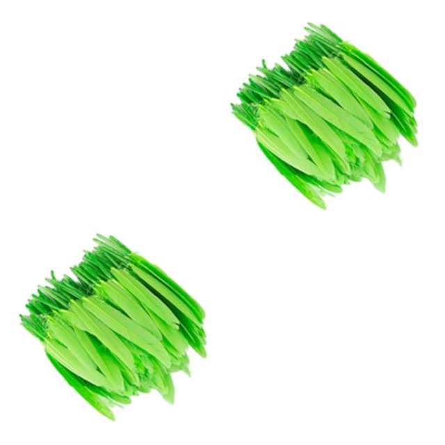 Baohd 100pcs/set Scratch-proof Natural Accessories Elegant Feather Crafts For Boho Clothes Feathers DIY Dyed Eco-friendly Green 2Set