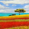 thumbnail image 3 of Angelo, Masera 20x20 Black Modern Framed Museum Art Print Titled - Mediterraneo II, 3 of 5
