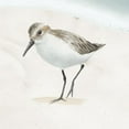 thumbnail image 2 of Sheppard, Lucca 12x12 White Modern Wood Framed Museum Art Print Titled - Sandpiper on the Beach II, 2 of 4