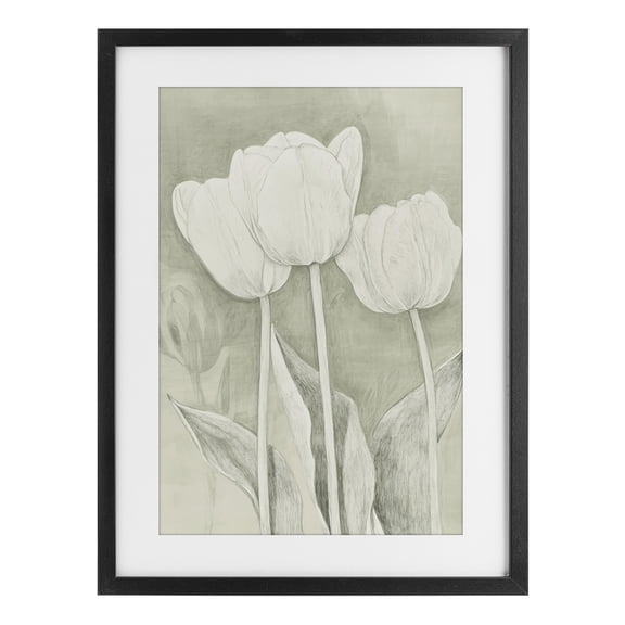 Stupell Industries Faded Tulips Pencil Sketch Black Framed Print Under Glass, design by Petal Prints Design