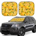 thumbnail image 1 of Fotbe Yellow Limes Juego de 2 Piezas de Parasoles para Parabrisas | Bloqueador Solar para Auto | Accesorios Plegables para Protección Solar Interior-Large, 1 of 6