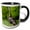 Black/White, variant on , Eastern Wild Turkey, Meleagris Gallopavo, Jake in Field, Holmes Co. Ms, 11oz Two-tone Yellow Mug