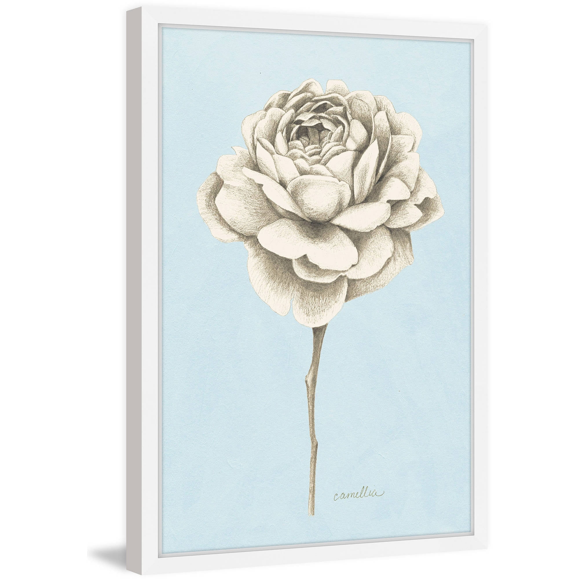 Marmont Hill "Botanical Study I" Framed Painting Print