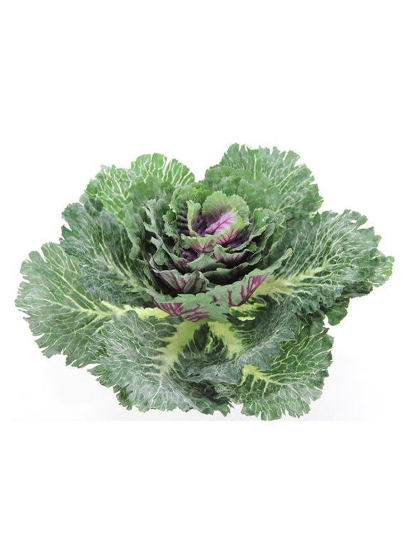 12 in.H Artificial Cabbage Home Kitchen Decoration, Green