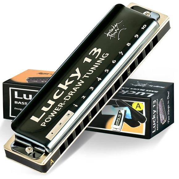 East top Lucky 13 Bass Plus Blues Harmonica 13 Holes Diatonic Harp Mouth Organ Professional Musical Instruments PowerDraw A key for Adults