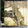 thumbnail image 4 of Ambesonne Exotic Shower Curtain, Leopard Wild Cat on Tree, 69"Wx70"L, Yellow Green Brown, 4 of 5