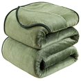 thumbnail image 1 of Soft Blanket King Size Fleece Warm Fuzzy Throw Blankets for The Bed Sofa Lightweight 350GSM HOZY Green 90" 108", 1 of 5