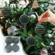 thumbnail image 1 of Bolas de Navidad, Bolas Flocked de Navidad, Bolas de Cristal de Navidad, Set de Cuatro Bolas de Navidad, Bolas de Navidad Colgantes, Bolas de Navidad con Brillo, Bolas de Navidad para Árbol de, 1 of 9