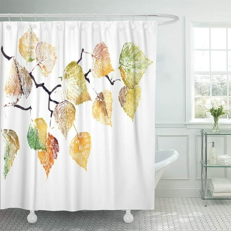Artificial Birch Branches PKNMT Silver Leaf Watercolor Painting of Bright Autumn Branch Birch Tree on White Brown Waterproof Bathroom Shower Curtains Set 66x72 inch ()