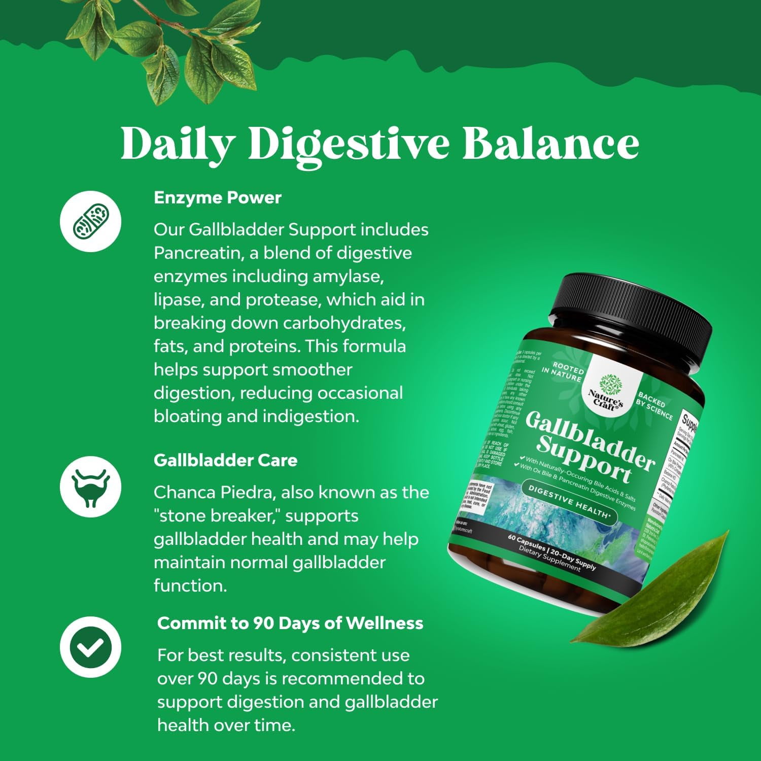 Natures Craft Gallbladder Support Digestive Enzymes with Purified Bile Salts & Pancreatin, 180 Caps