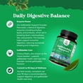 thumbnail image 4 of Natures Craft Gallbladder Support Digestive Enzymes with Purified Bile Salts & Pancreatin, 180 Caps, 4 of 11