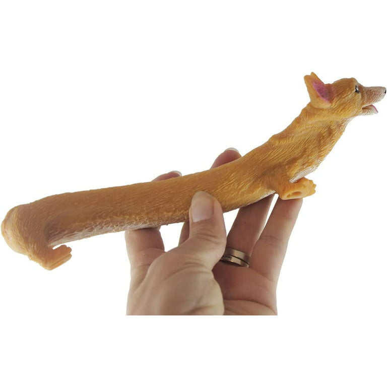 Funny Corgi Dog Decompression Toys for Children Practical Jokes Vent Toy  Cute Dog Dog Squeeze Toy Corgi Dog Fidget Toys Stretch Dog Squeeze Dog  CORGI CORGI 
