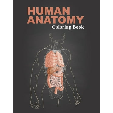 Anatomy for Artists: Drawing Form & Pose : The Ultimate Guide to ...