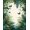 Green, Pattern 1, variant on ODIKA 4'x6' Machine Washable Non-Slip Area Rug, Earthy Jungle Scene Aesthetic High Traffic Rug, Green, 35217