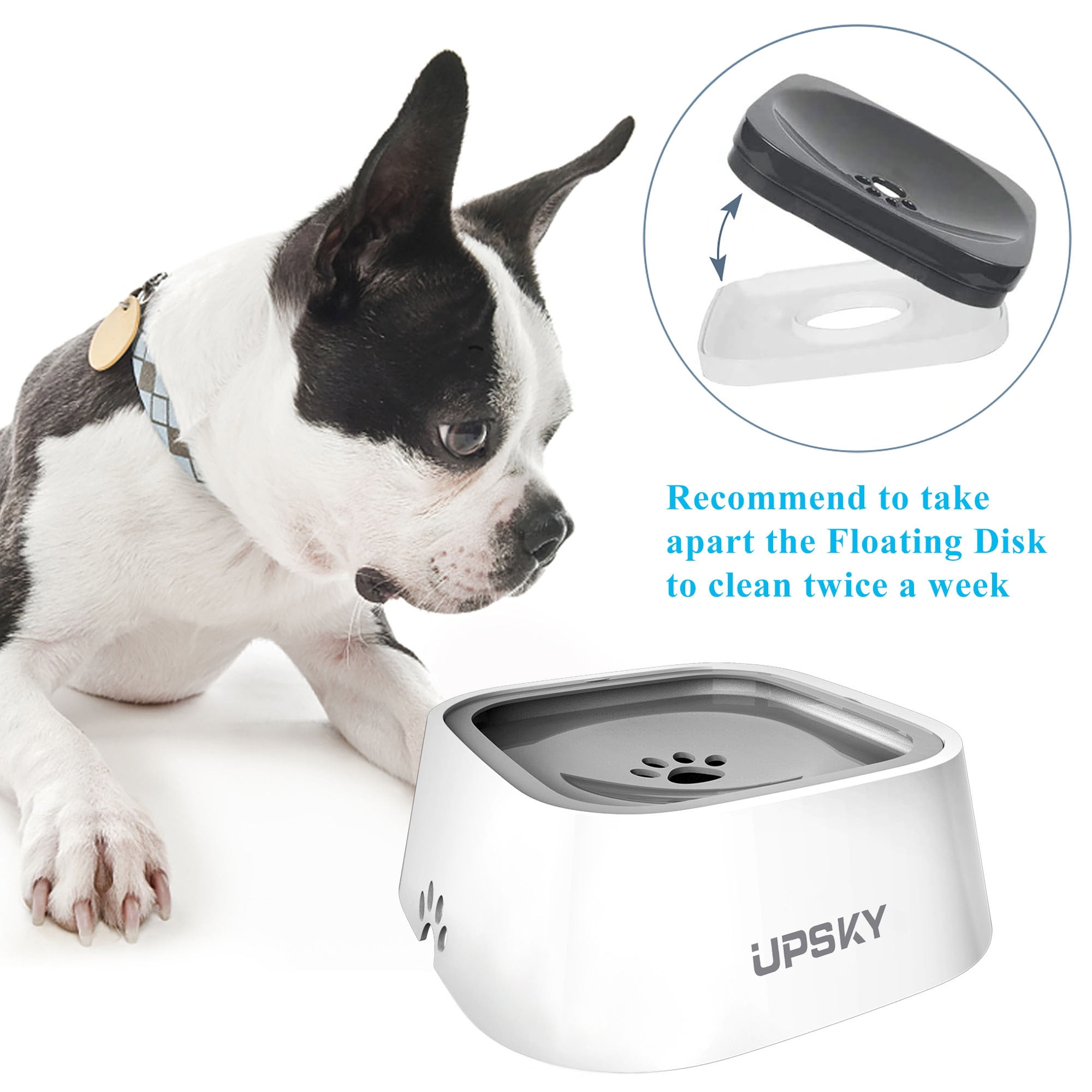 elevated dog bowl.-Phonery Elevaty ® 2 in 1 Elevated Slow Feeder with No  Spill Water Bowl-Getphonery