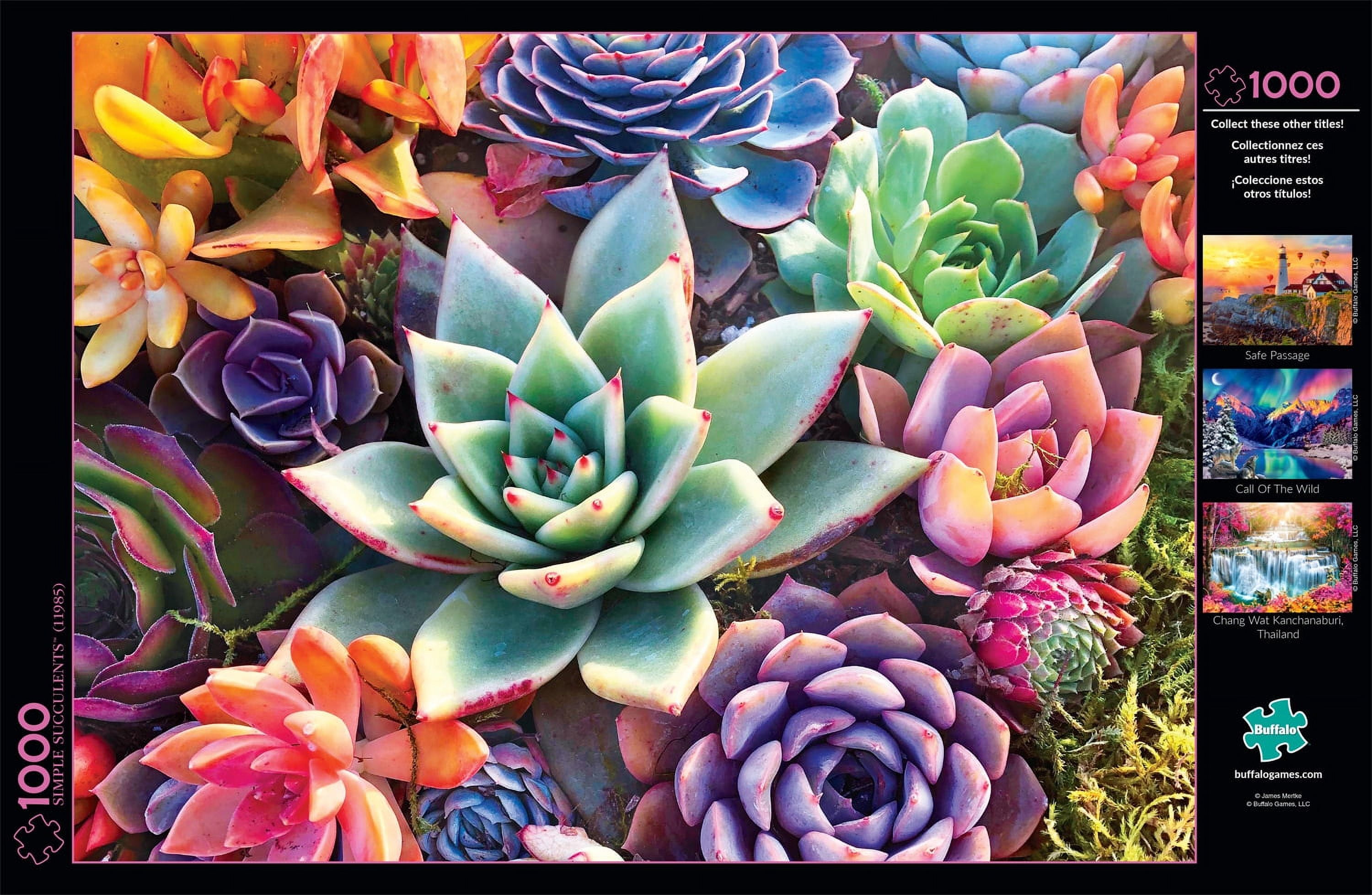 Buffalo Games - Photography - Simple Succulents - 1000 Piece Jigsaw Puzzle