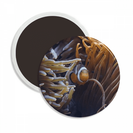 

Ocean Anemone Fish Science Nature Round Ceracs Fridge Magnet Keepsake Decoration