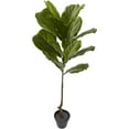 thumbnail image 2 of HomeStock 4Ft. Coastal Craftsman Tree Uv Resistant (Indoor/Outdoor), 2 of 8